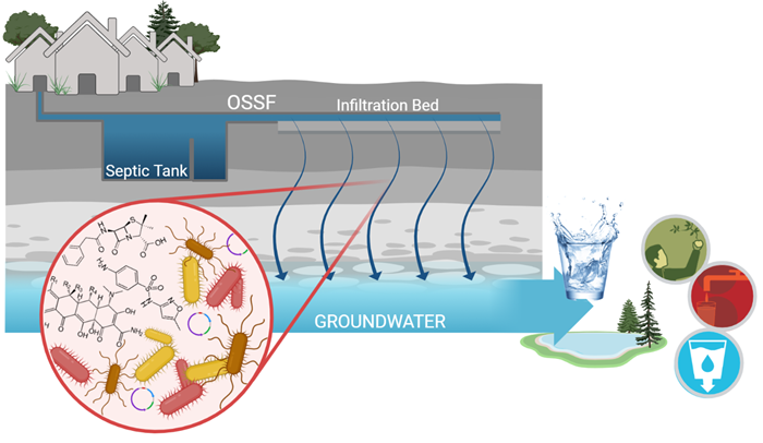 A schematic picture showing a house with a septic tank, an infiltration bed, the groundwater, and bacteria. Illustration.