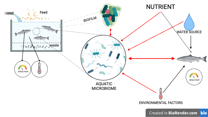 Schematic illustration of the project.
