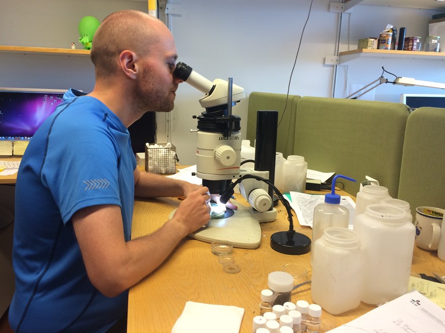 A man using a microscope. Photo.