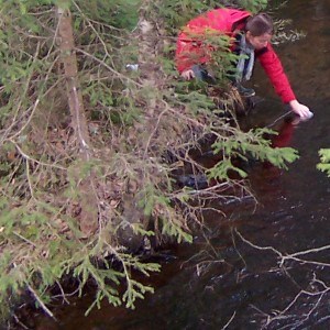 A person sampling from the edge of the stream with brown water. Photo.
