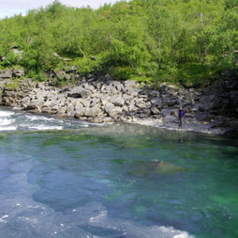 Arctic river. Photo.