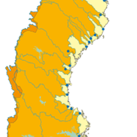 Map of Sweden where almost all main river basins are orange with a blue dot at the coast. A smaller area close to the coast is light yellow. Illustration.    