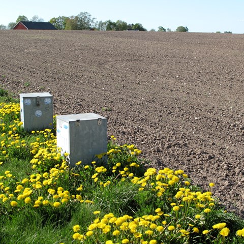 Locked boxes in front of a newly sown field. Photo.