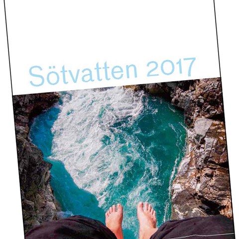 Omslag till rapport.