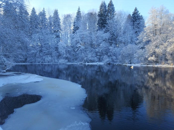 Å i snölandskap. Foto.