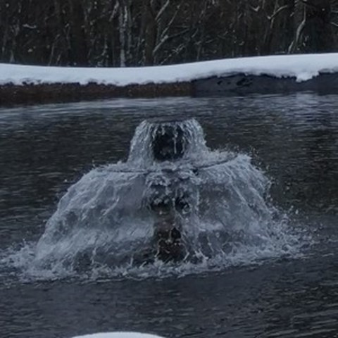Damm med fontän. Foto.