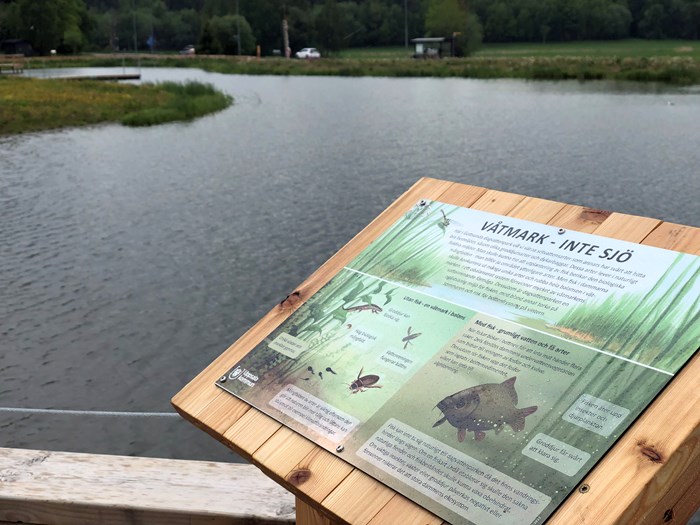 Gottsunda dagvattenpark med informationtavla i förgrunden. Foto.