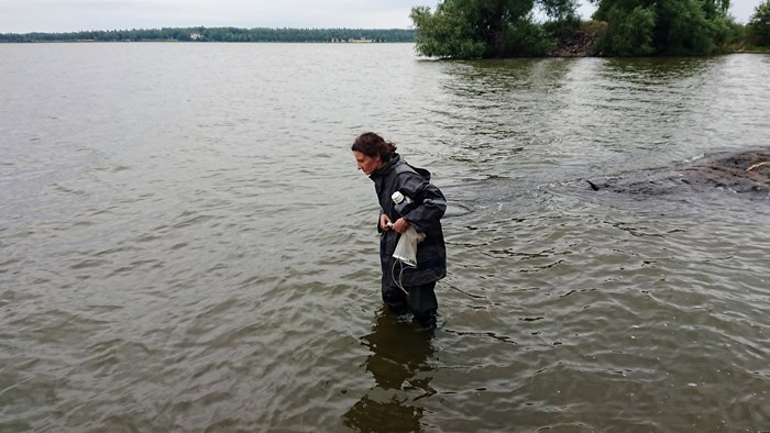 Person standing in lake watching the water. Photo.