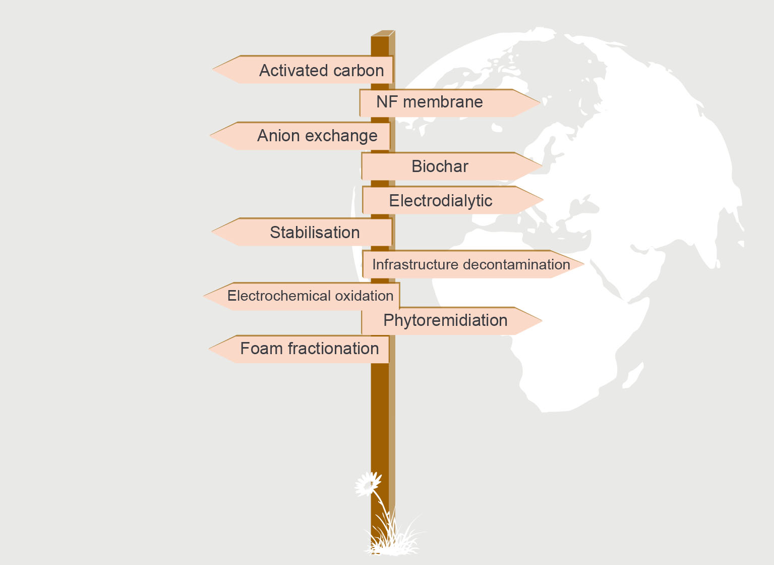 Schematic illustration of different treatments options.