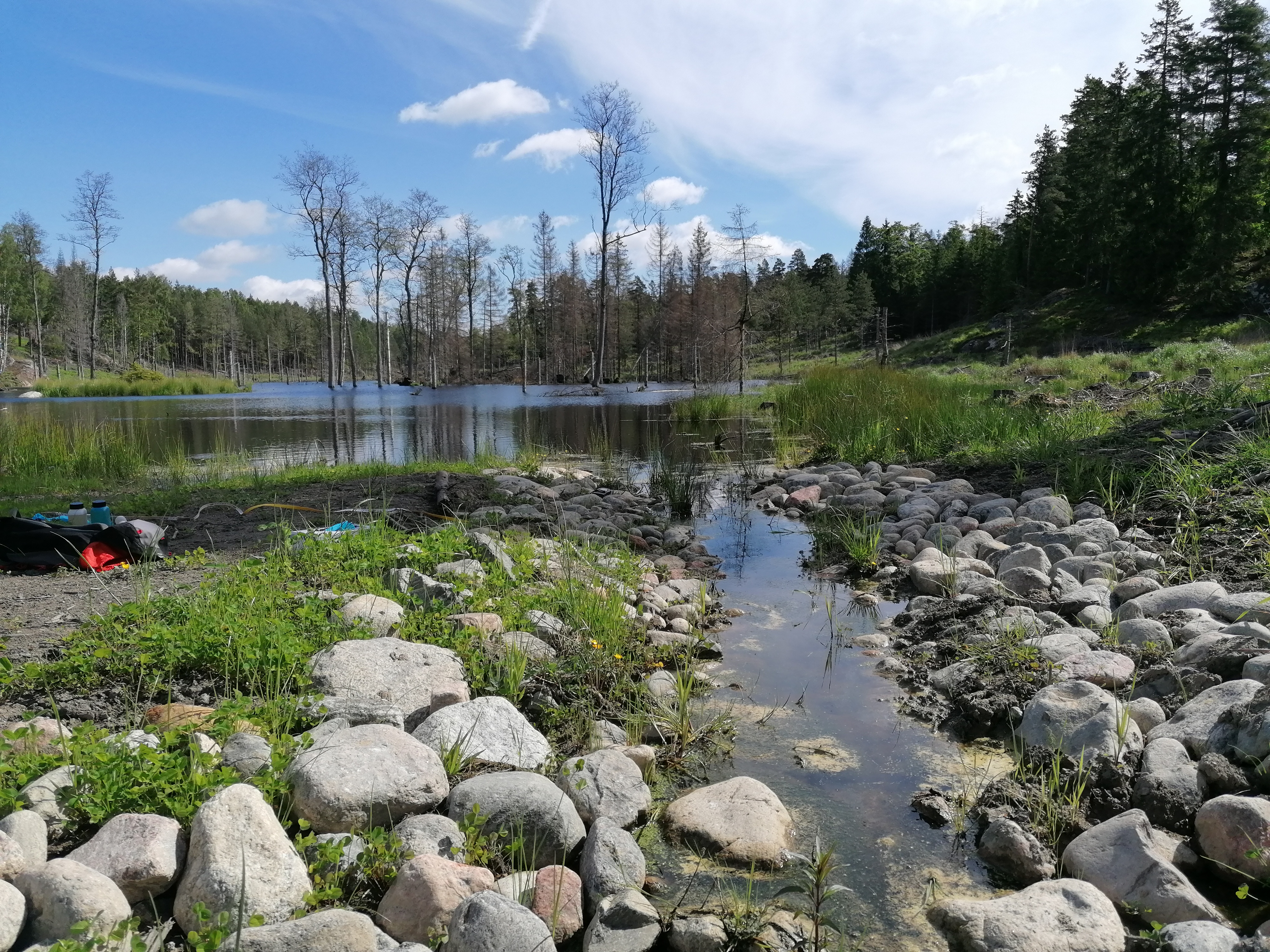 Nynäs utlopp.jpg