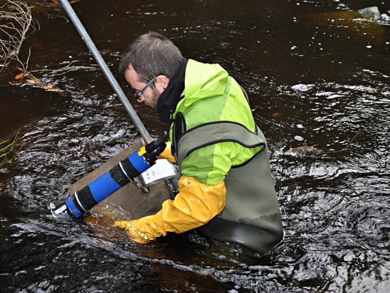 A person collecting a water sample. The person stands in the water, photo.