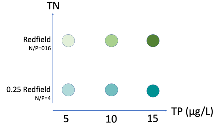 Graph, illustration.