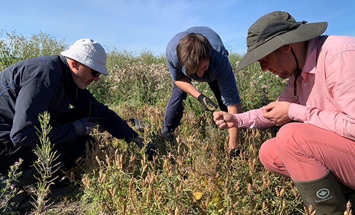 Three men are working on a field.