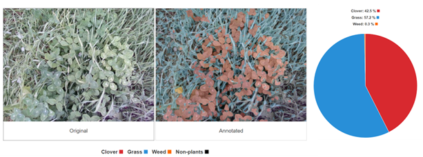 Two pictures of grass and clover growing in soil, one in green and one in blue and brown. 