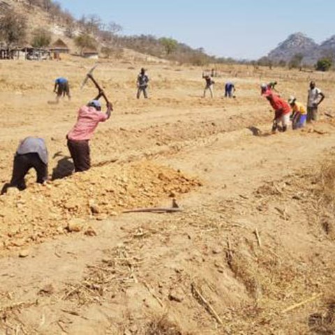  Farmers work on dry agricultural land.
