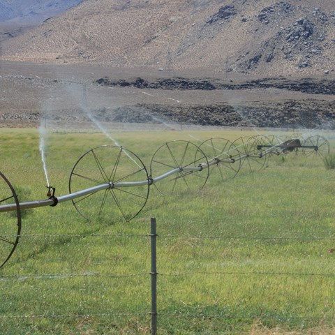 A field with an irrigation system. Mountains without any growth of plants in the background.