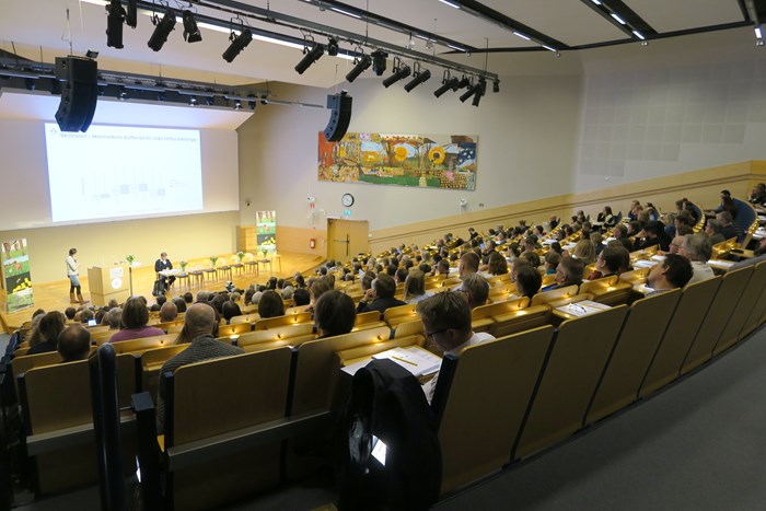 En aula med människor som sitter i bänkrader.