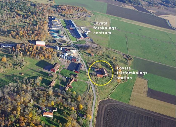 The field research station surrounded by fields. Aerial photo.