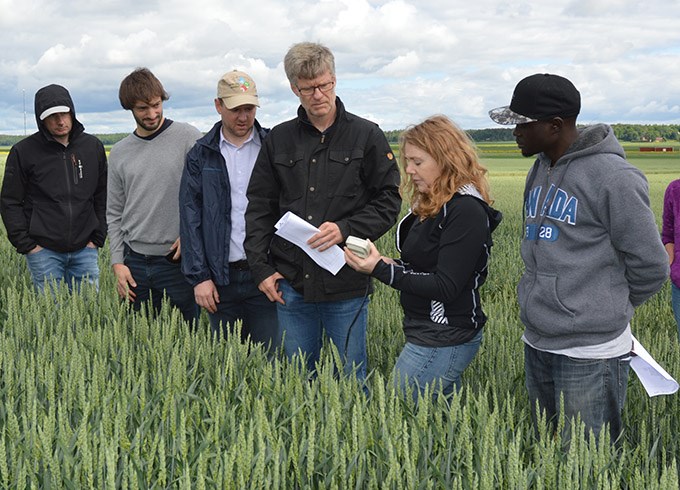  People in front of a wheat field