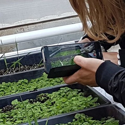 Student takes a photo of plants in pots.