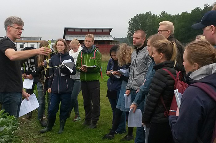 Föreläsning  i fält.