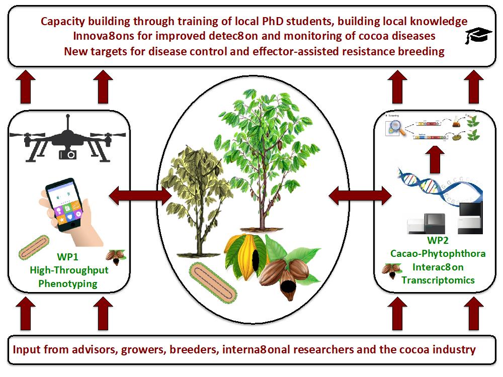 Schematics for capacity building for farmers