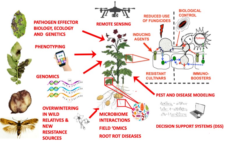 IPM-strategies