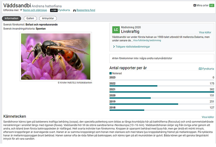 Artfakta med sidan Artinformation för väbbsandbi. Här ryms bland annat bild, kännetecken och rödlistningsstatus. Skärmavbildning