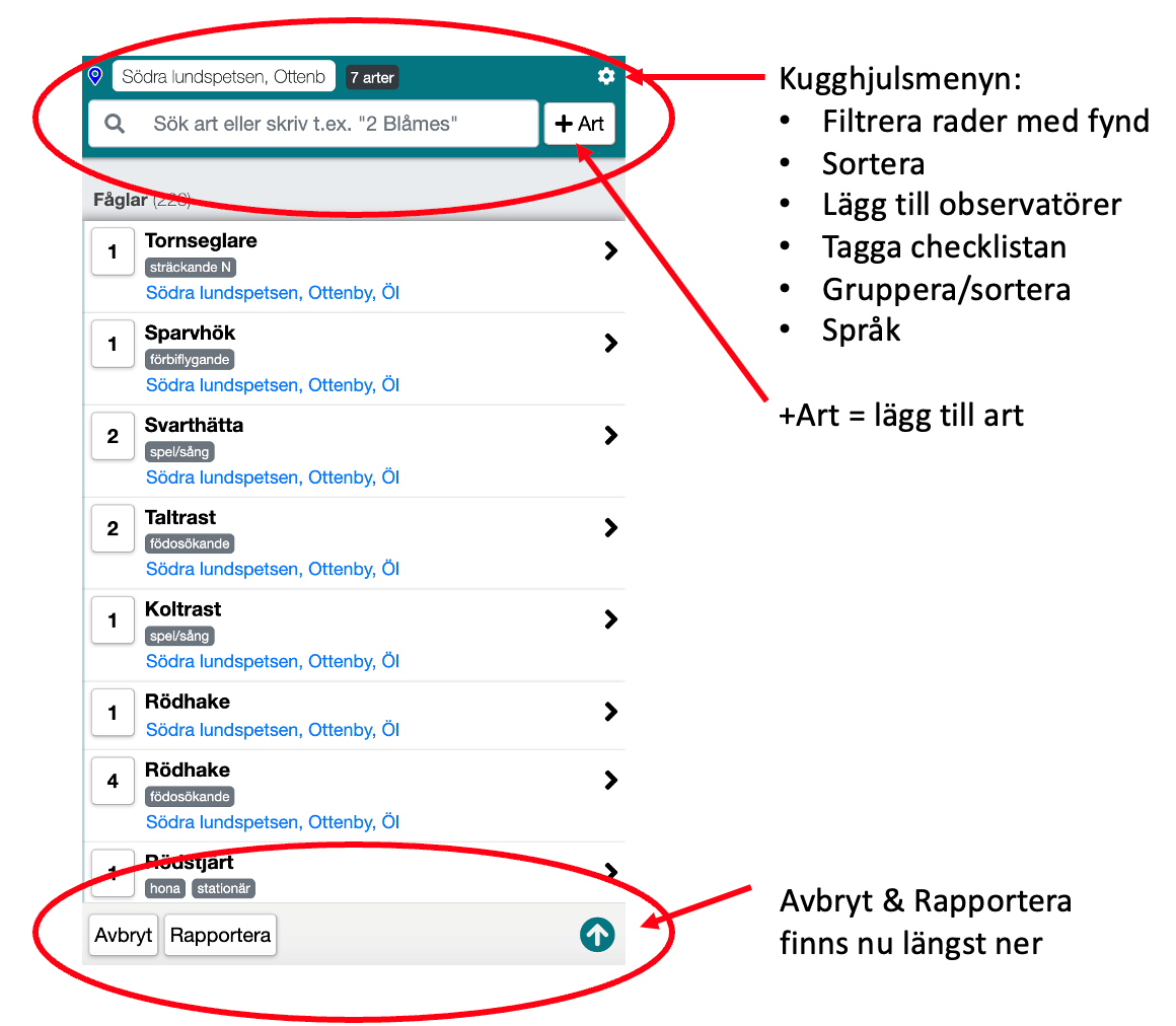 Bild på webbsida med text. Bild