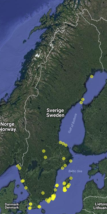Sibirisk järnsparv utbredningskarta