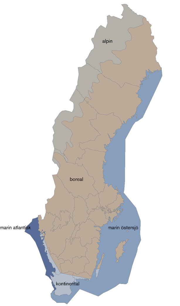 Figur 2. Sveriges tre biogeografiska (alpin, boreal och kontinental) och marina (östersjö och atlantisk) regioner som ska rapporteras till EU. 