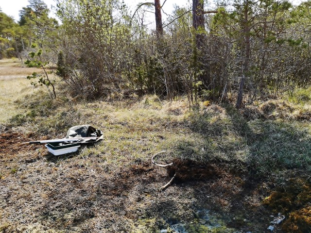 Inventeringslokal, gräsmark med träd i bakgrunden. Foto
