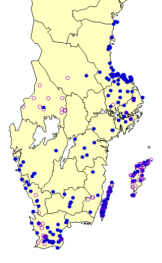 Vit karta över södra Sverige med blå prickar. Illustration