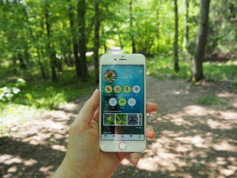 Hand håller upp smart telefon med appen biologg öppen, ståendes i en skog. 