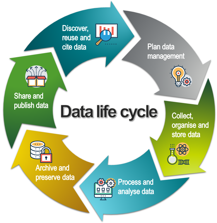 Data life cycle