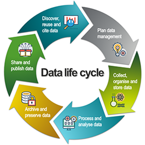 Circle with arrows representing different steps in the data management process. Illustration.