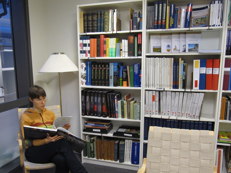 Person reading a book in the library, photo.