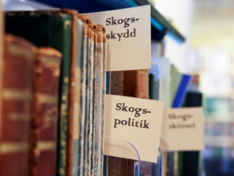 Book shelf with old books, photo.