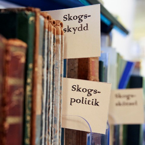 Book shelf with old books, photo.