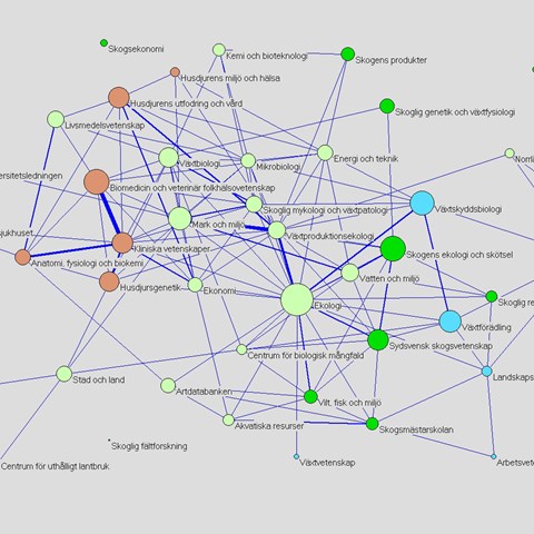 Olikfärgade punkter som representerar SLU:s forskningsområden sammanbundna med streck och i kluster, illustration.