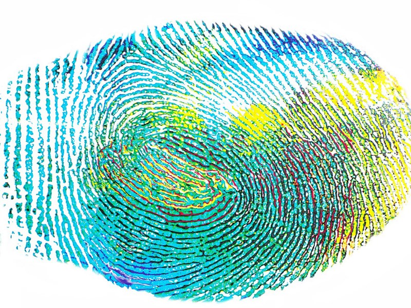 Fingerprint in neon, illustration.