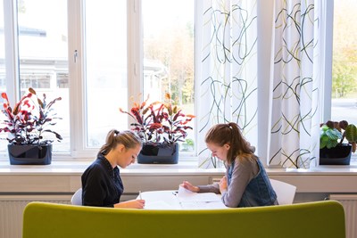 Two students studying, sitting on a sofa in the Umeå SLU library. 