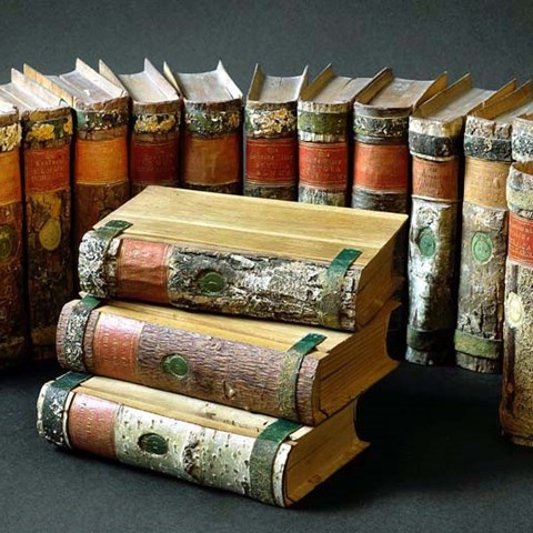 Some volumes of wooden books lined up in a row, photo.