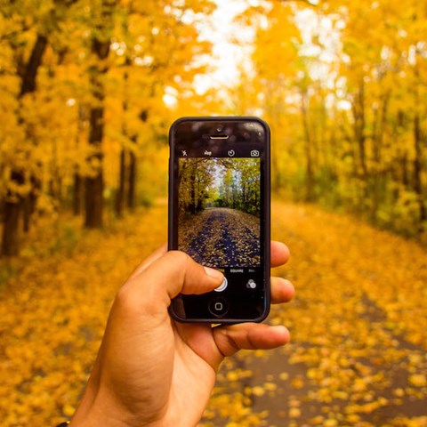Hand håller upp mobiltelefon som fotograferar skogen i höstfärger.