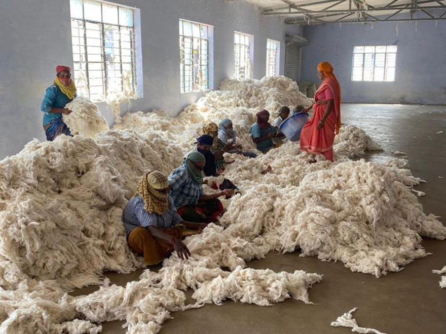 Textile workers in India on a large pile of raw cotton in a warehouse. Photo.