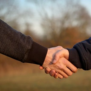 A handshake outdoors, photo.