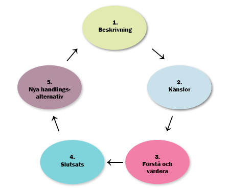 Bild på reflektionscykeln med de fem stegen: 1. Beskrivnin 2. Känslor 3. Förstå och värdera 4. Slutsats 5. Nya handlingsalternativ