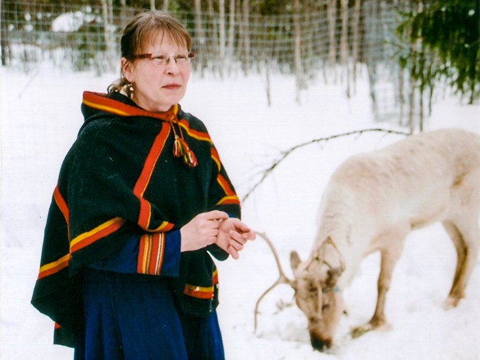 En samisk kvinna med en vit ren i snö, foto.