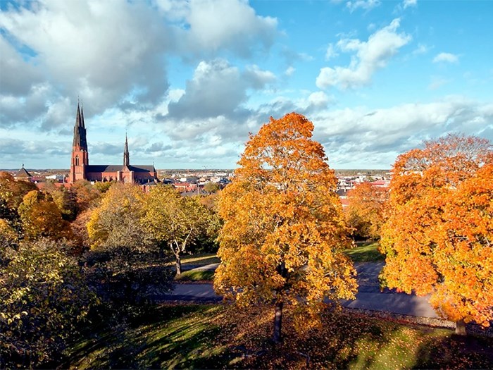 Stadslandskap med en kyrka och orangea höstträd, foto.