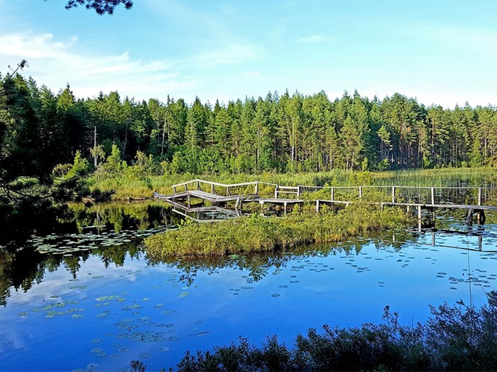 En racklig bro över en liten sjö, foto.